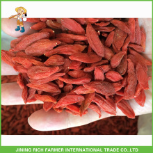 Exportador de bagas de Goji seco na China Goji Berry 180g grãos / 50g